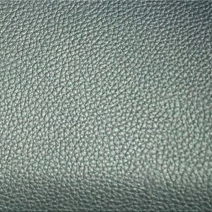 Meet your Posher, Lenny